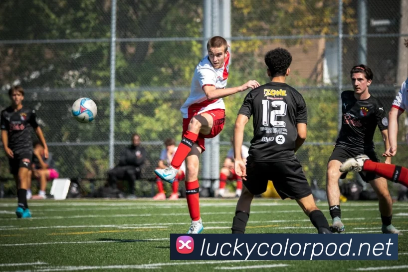 多媒体互动体验